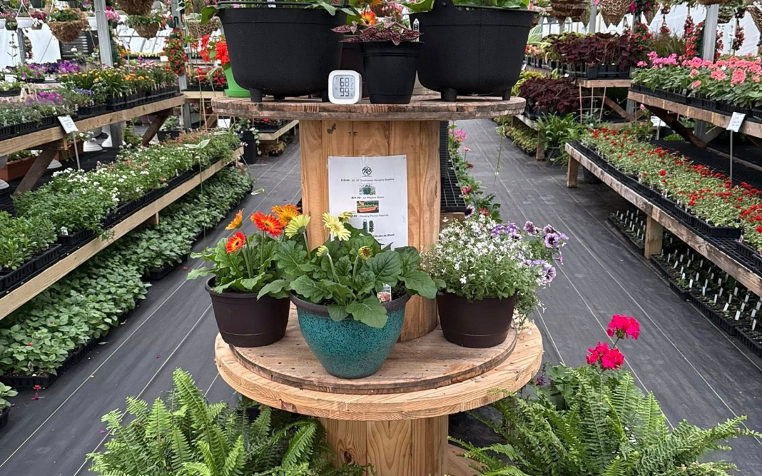 Best Plants for Ohio Weather: A Fairfield County Homeowner’s Guide