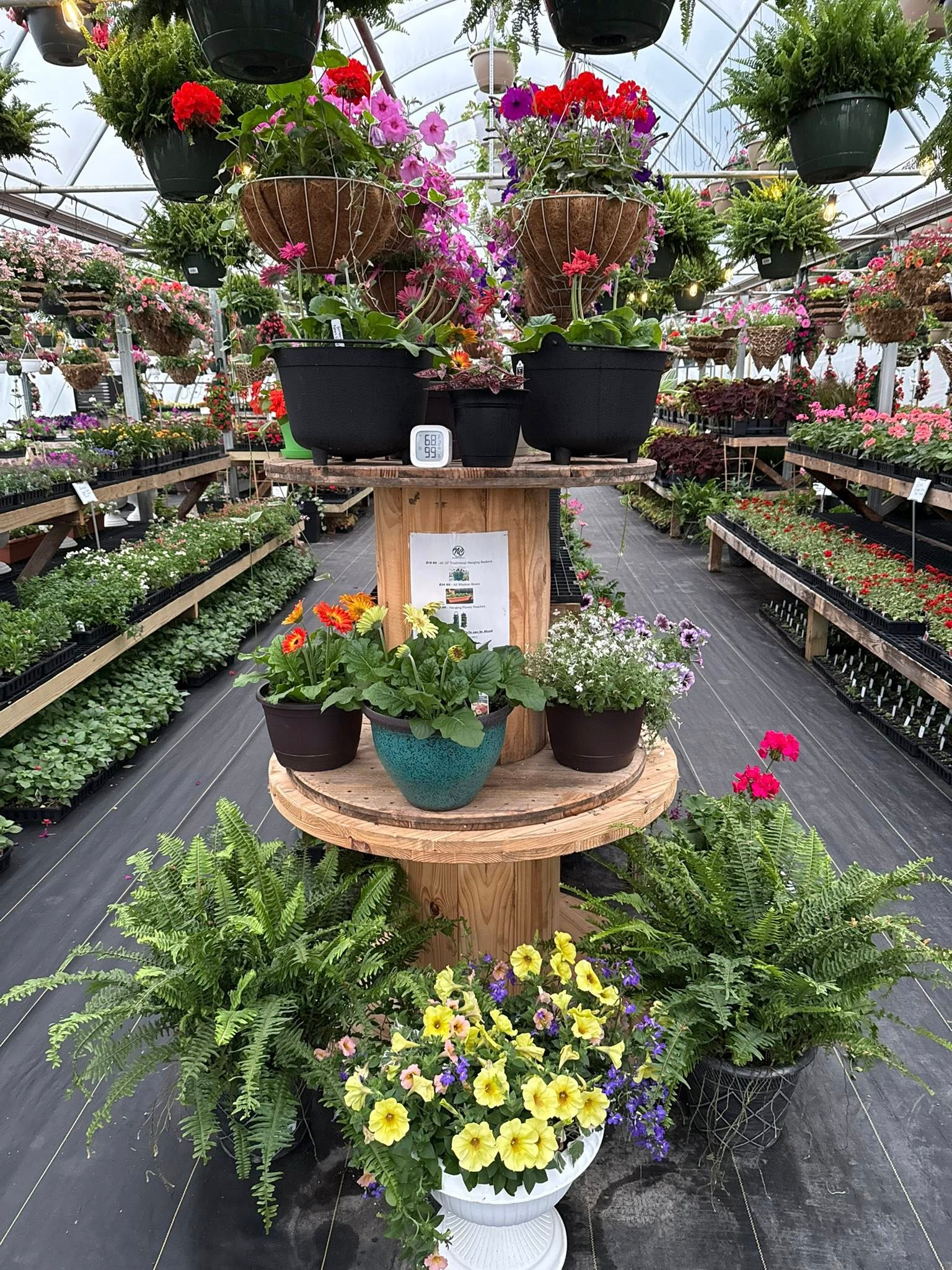 Best Plants for Ohio Weather: A Fairfield County Homeowner’s Guide