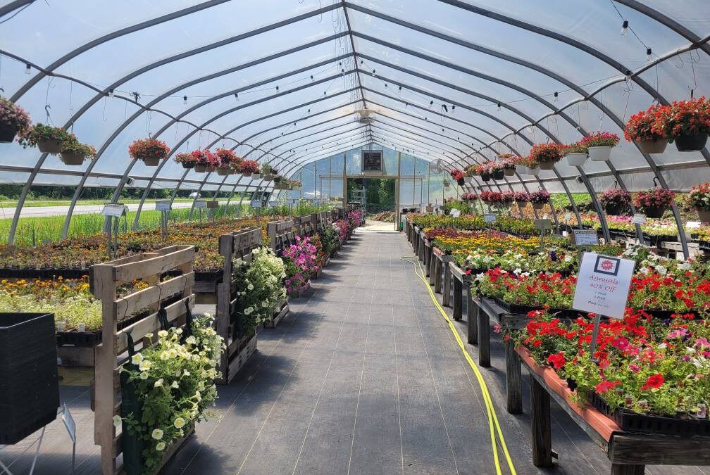Why Choosing a Local Greenhouse in Lancaster, Ohio Makes a Difference