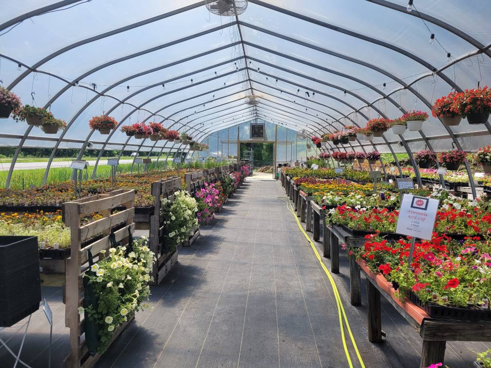 Why Choosing a Local Greenhouse in Lancaster, Ohio Makes a Difference